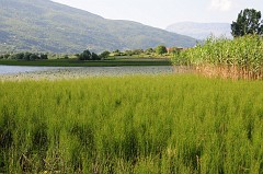 Lago di Plav458DSC_3305